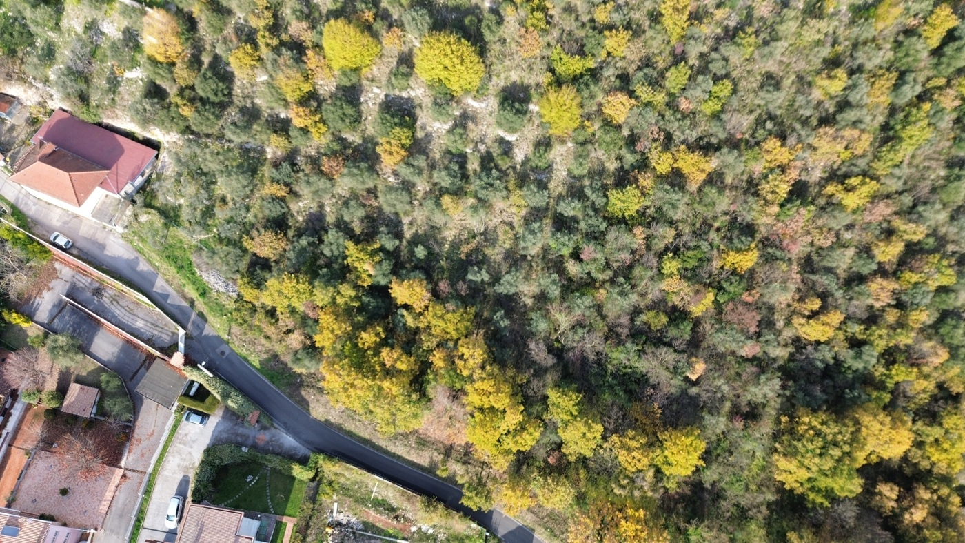 immagine annuncio 2 di 8