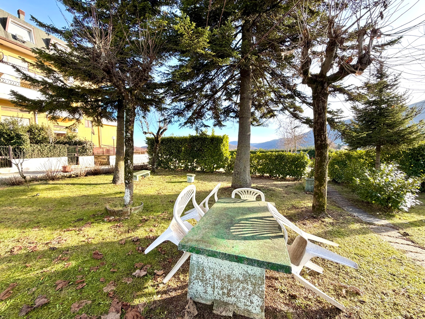 immagine annuncio 2 di 10