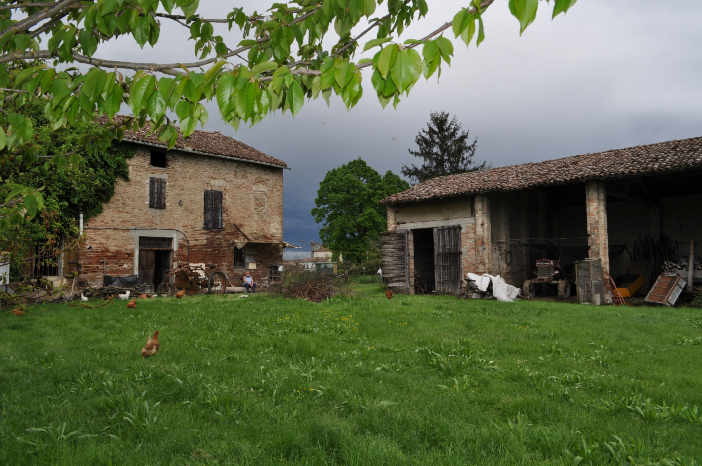 immagine annuncio 1 di 10