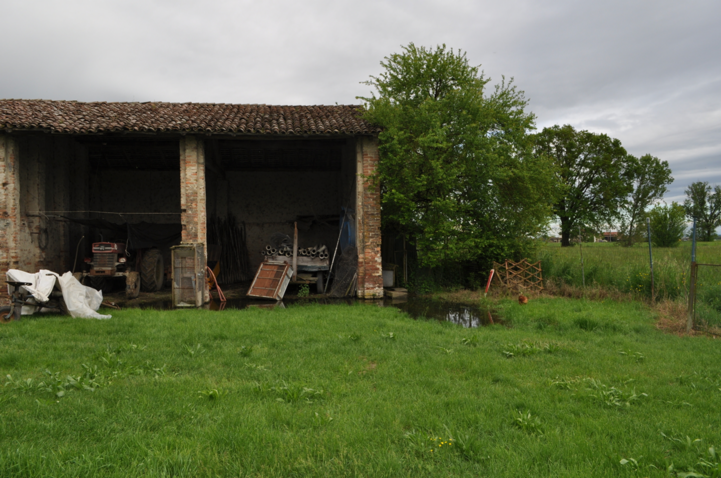 immagine annuncio 5 di 10