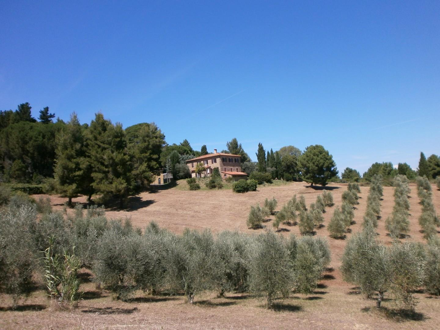 casa indipendente in vendita a Chianni in zona Rivalto