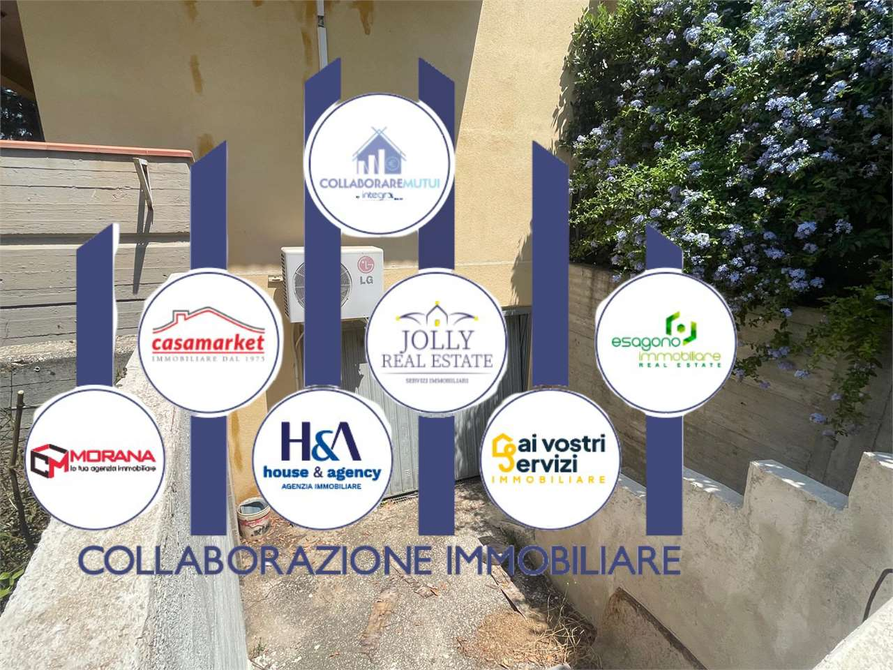 immagine annuncio 3 di 10