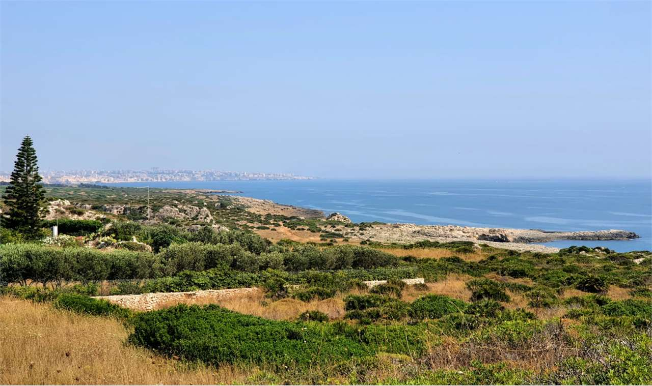 immagine annuncio 5 di 6