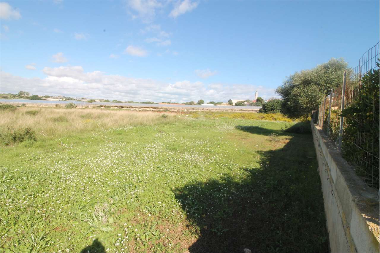 immagine annuncio 3 di 6