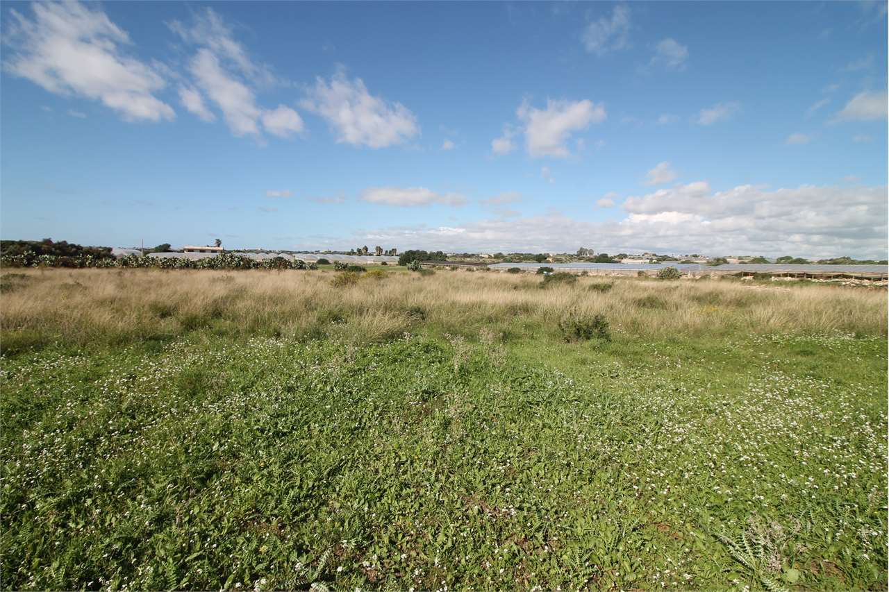 immagine annuncio 4 di 6