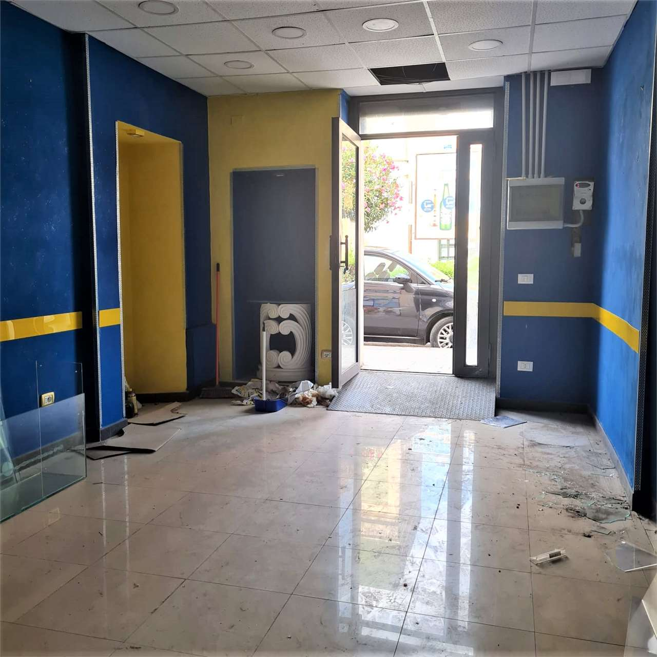 immagine annuncio 1 di 8