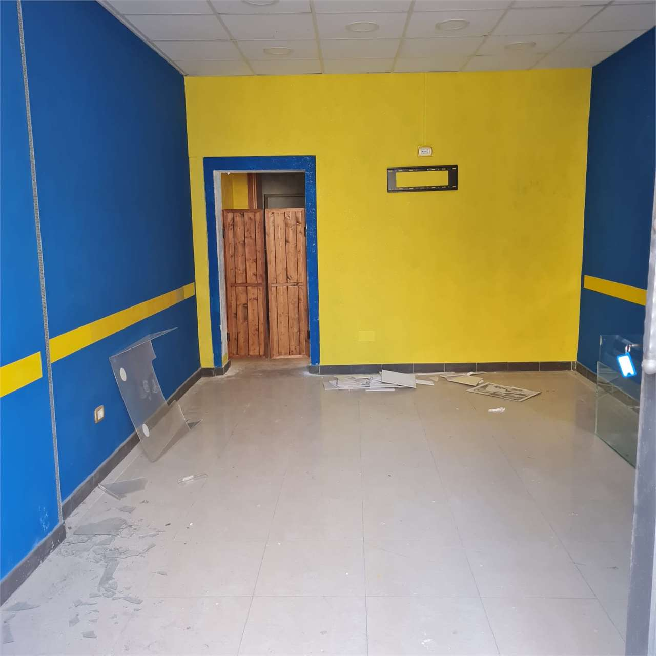 immagine annuncio 3 di 8