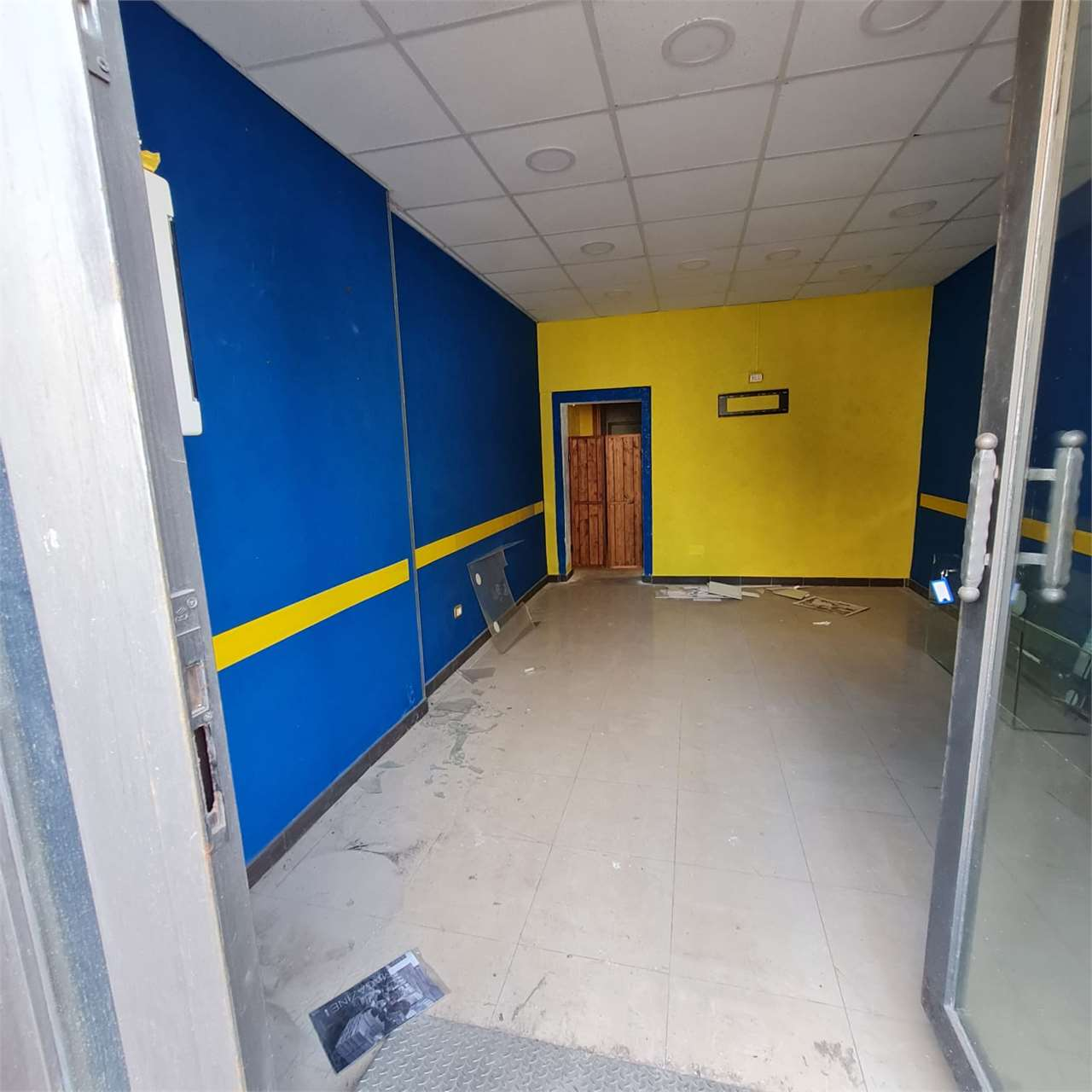 immagine annuncio 4 di 8