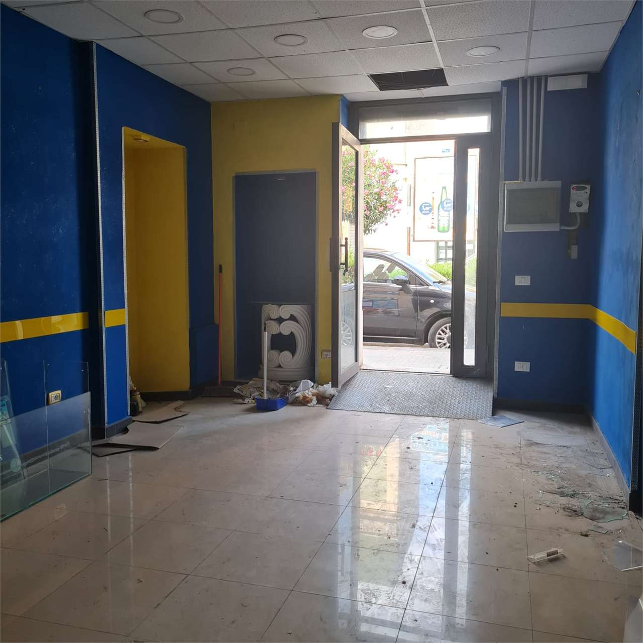 immagine annuncio 2 di 8