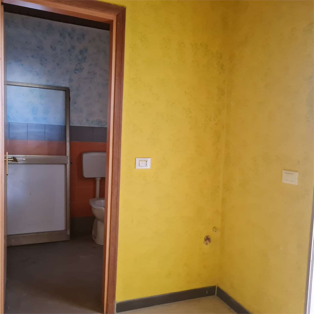 immagine annuncio 5 di 8