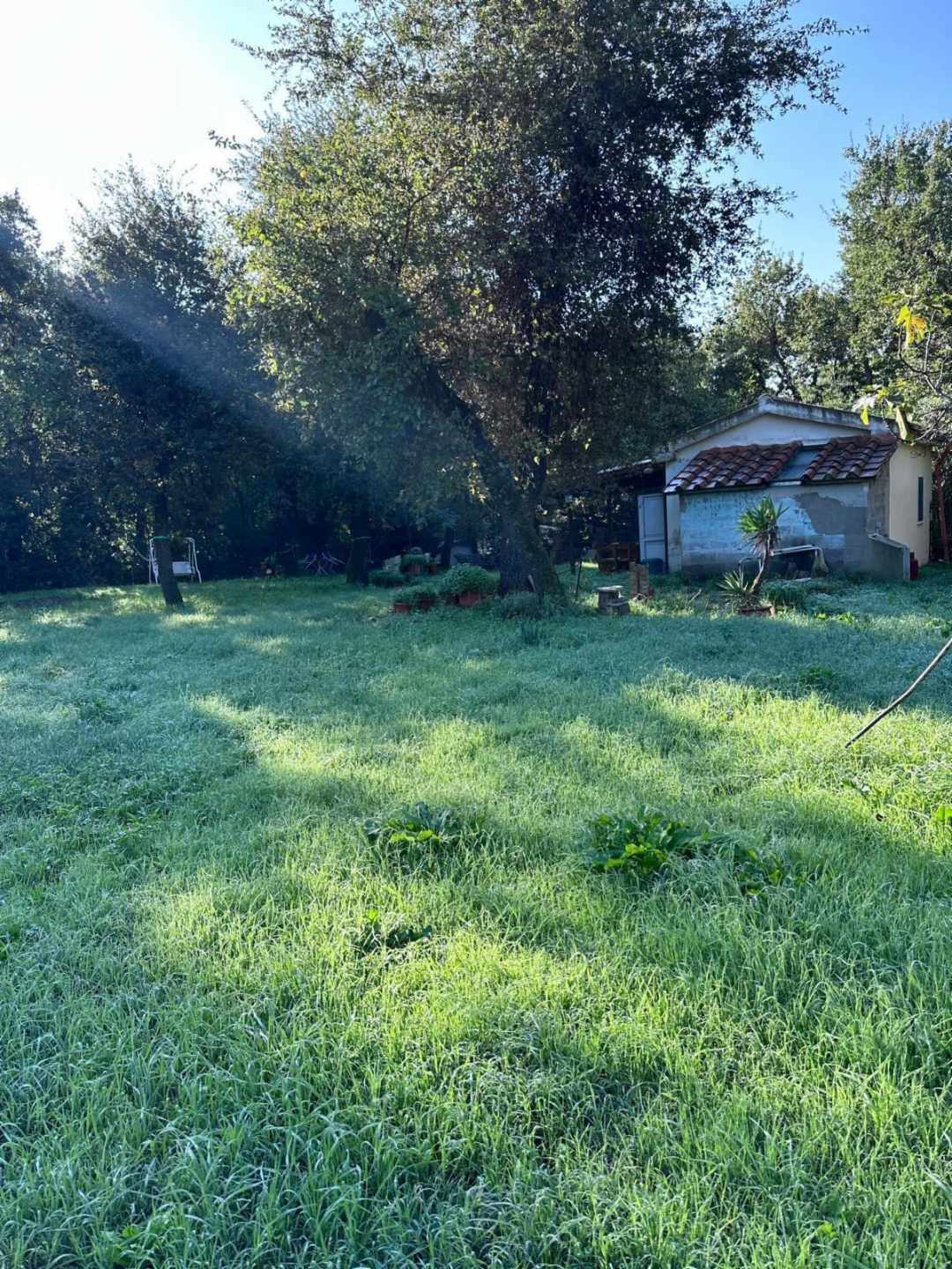 immagine annuncio 5 di 9