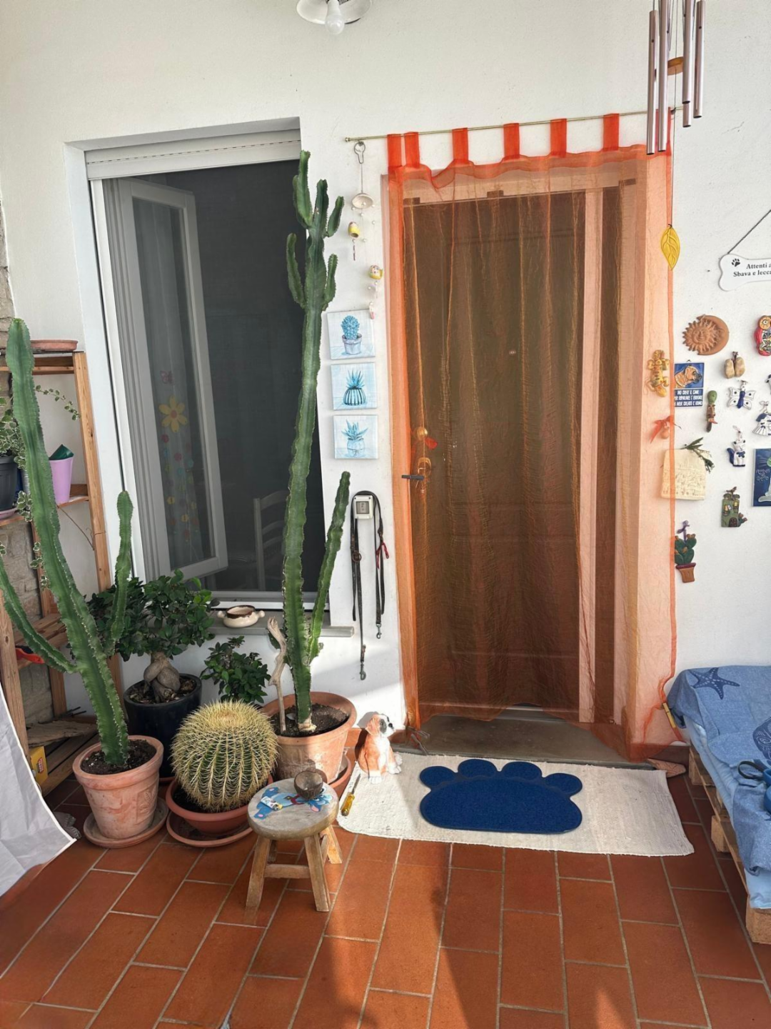 immagine annuncio 6 di 10