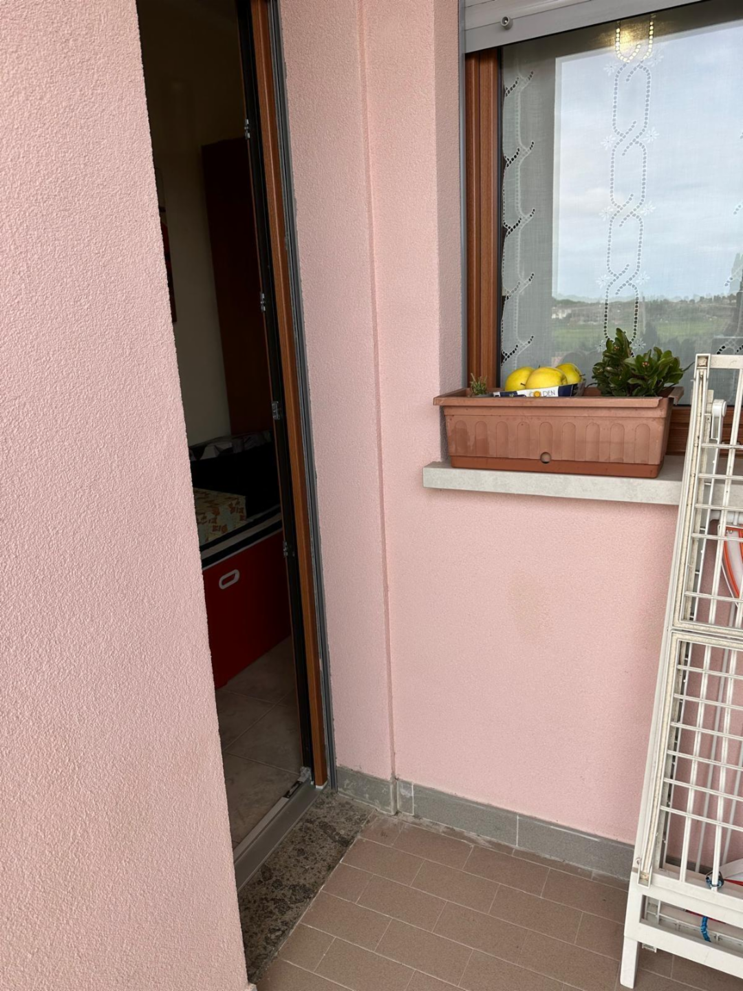 immagine annuncio 3 di 7