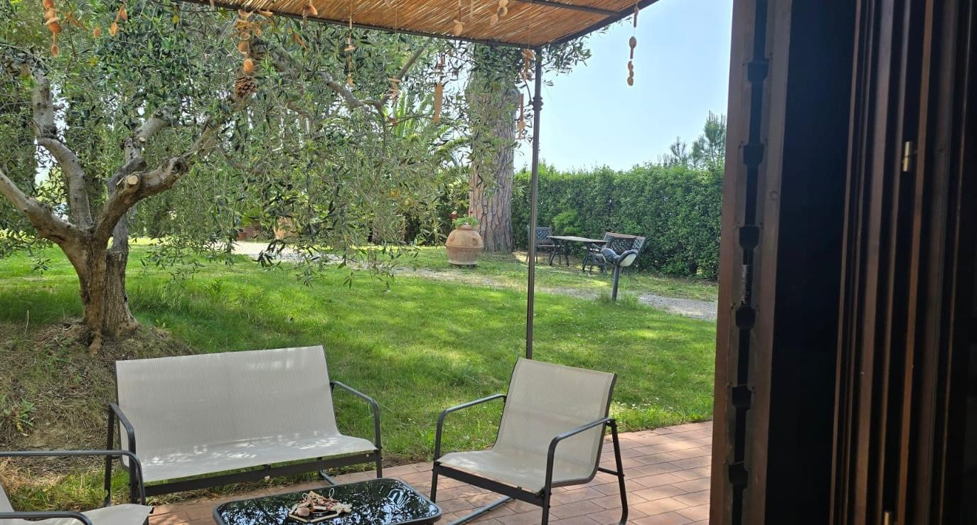 immagine annuncio 3 di 7