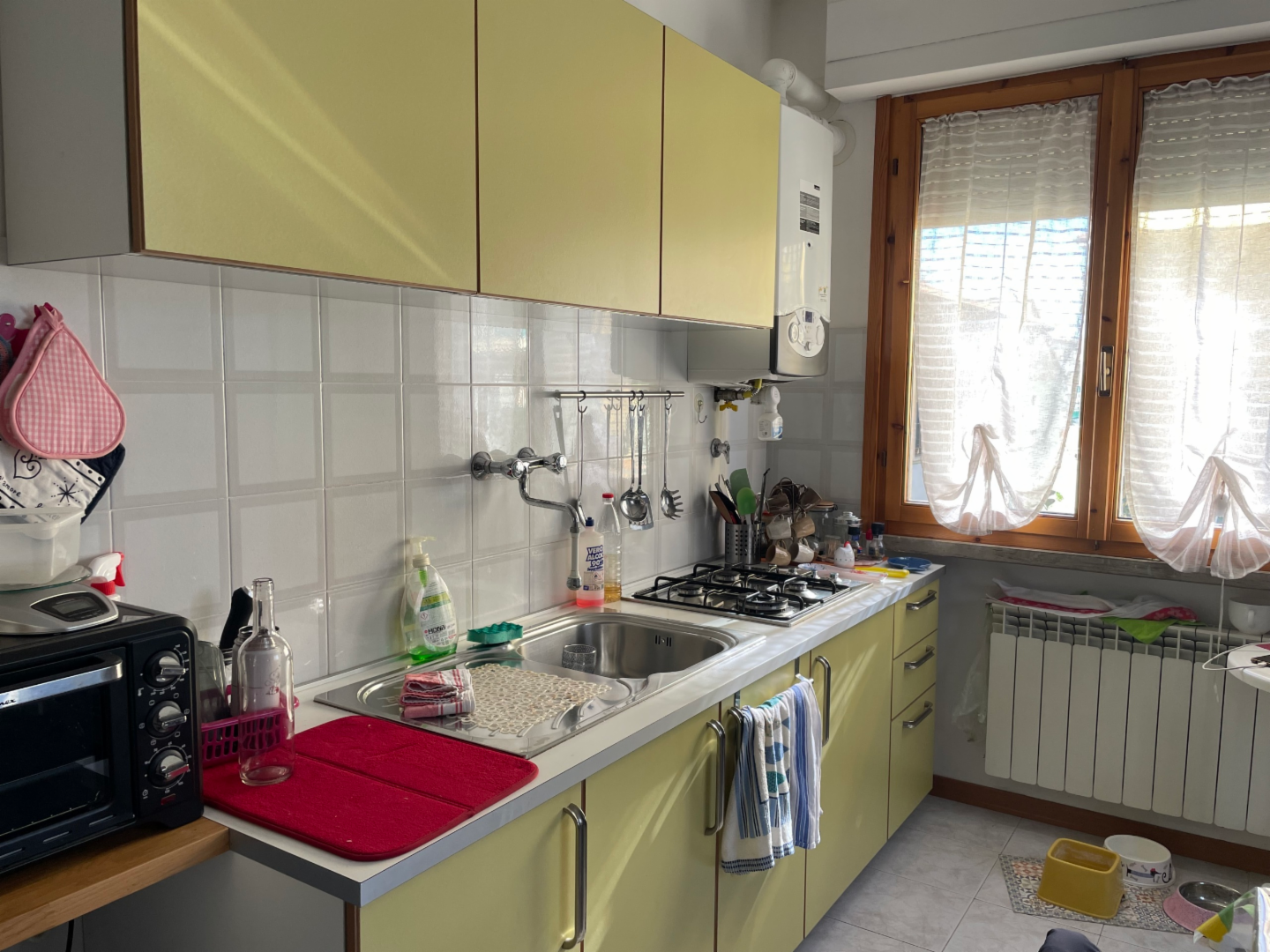 immagine annuncio 3 di 9