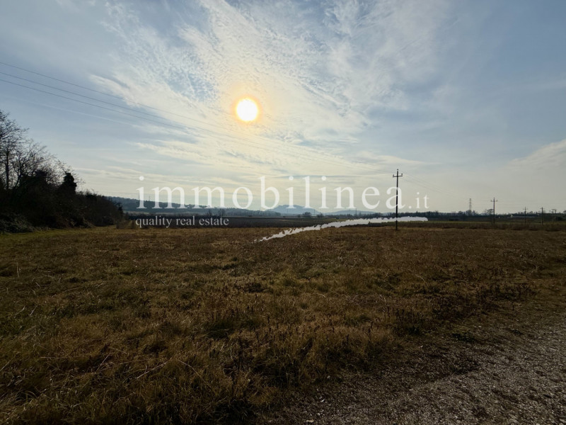 immagine annuncio 1 di 7