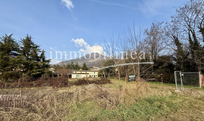 immagine annuncio 2 di 7