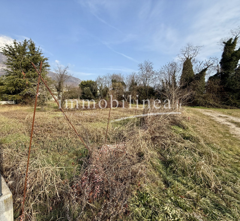 immagine annuncio 4 di 7