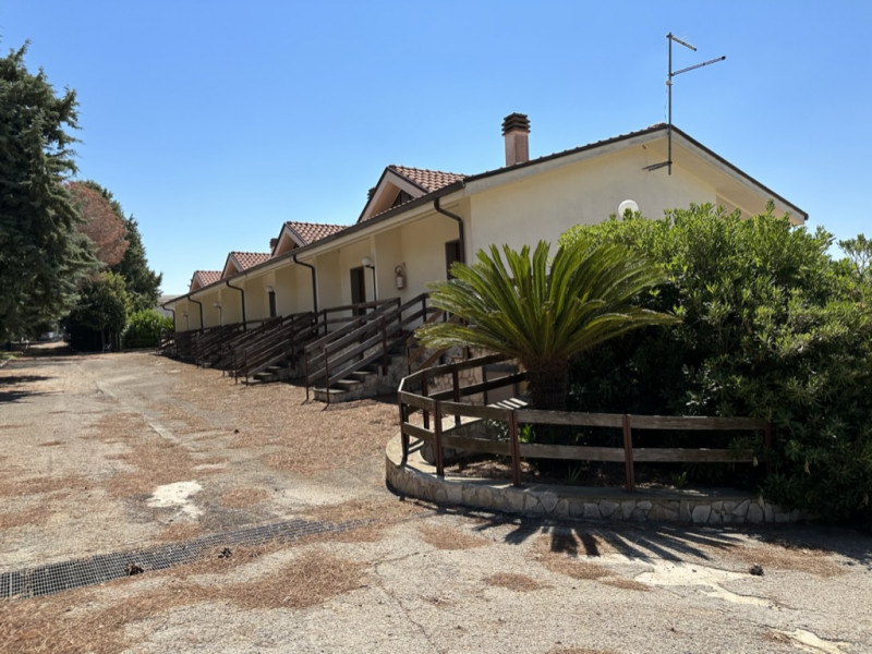 immagine annuncio 2 di 10