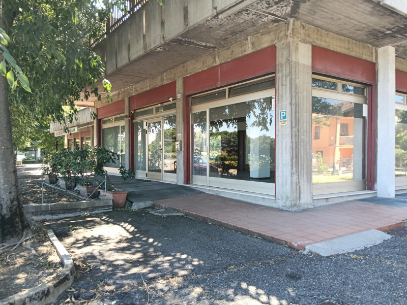 immagine annuncio 3 di 6
