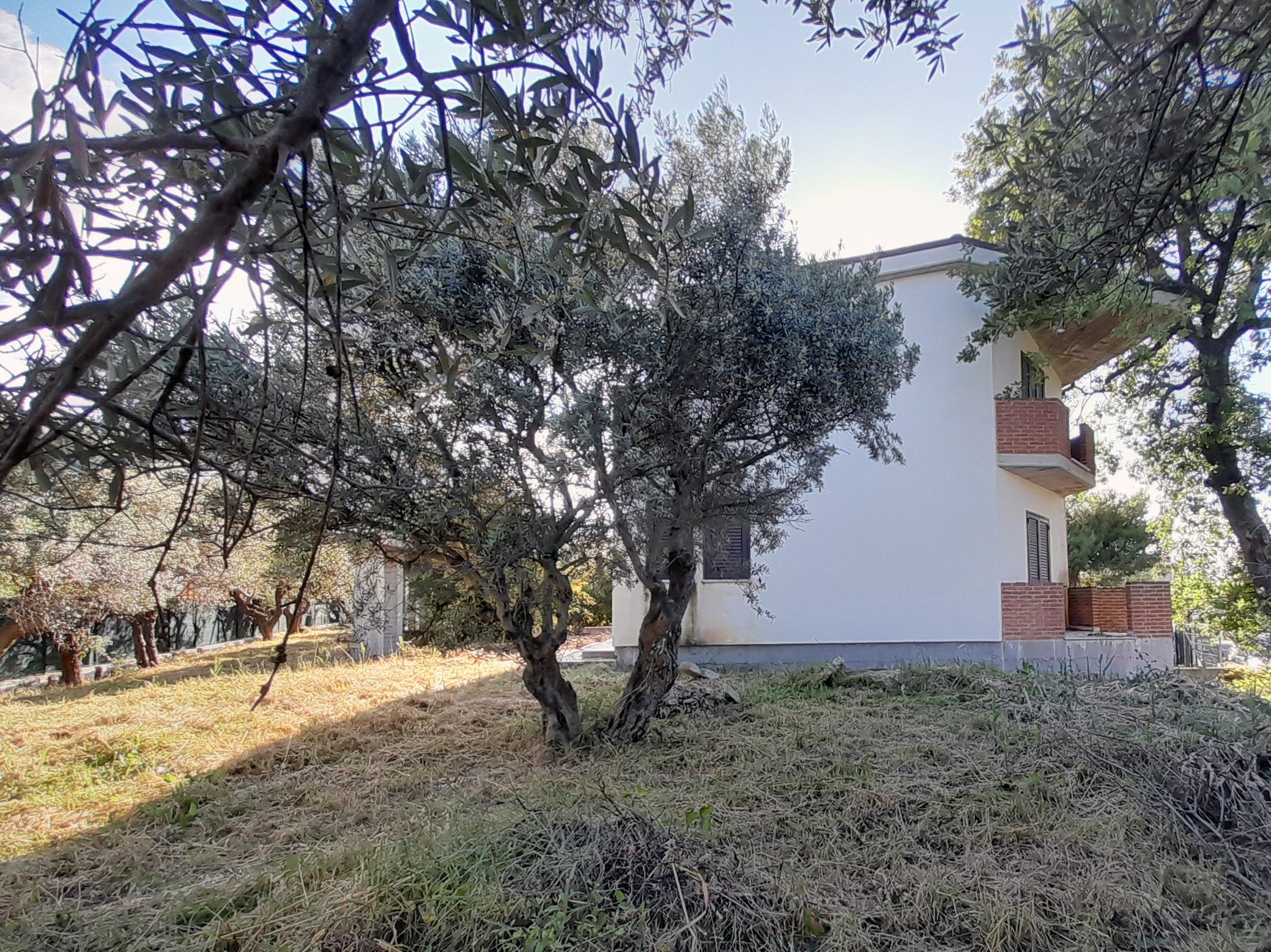 immagine annuncio 1 di 6