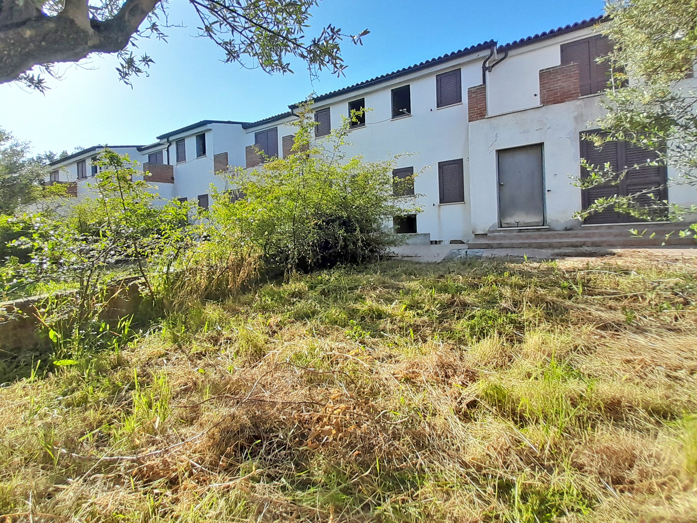 immagine annuncio 3 di 6