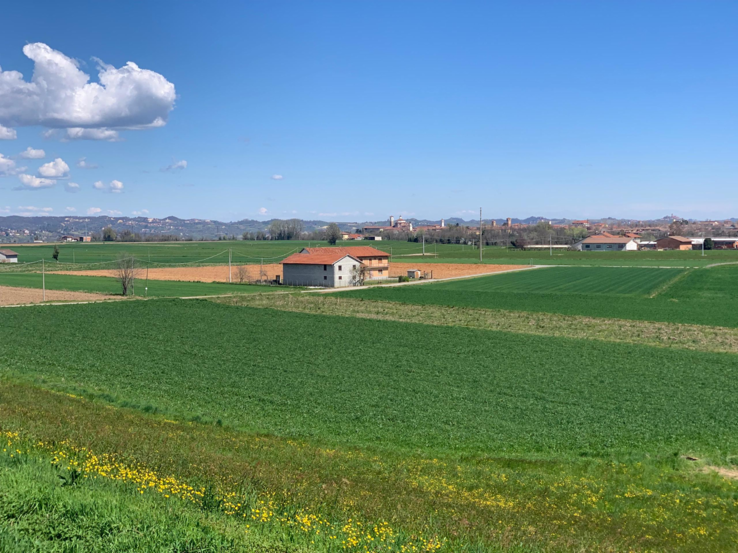 immagine annuncio 1 di 10