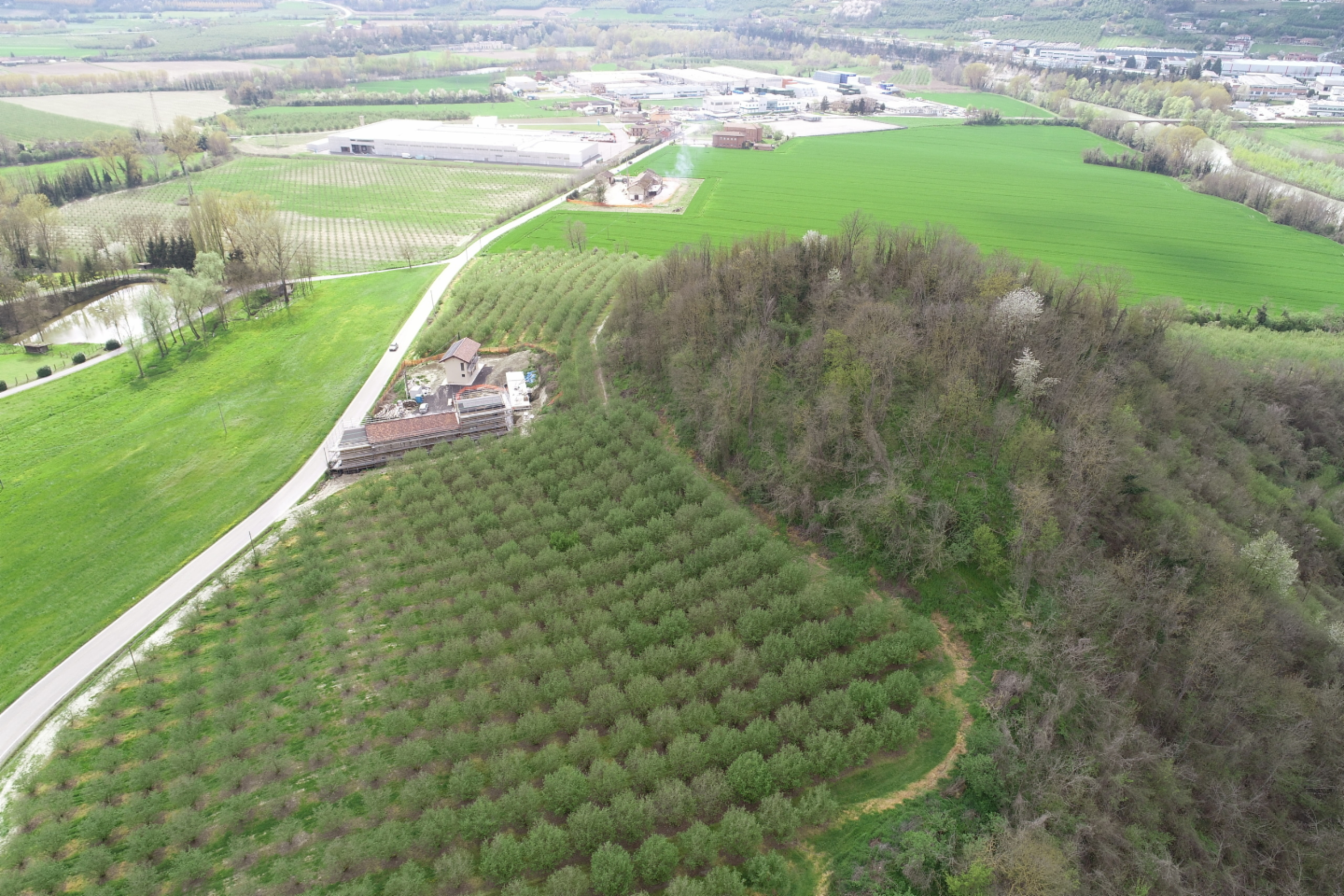 immagine annuncio 6 di 10