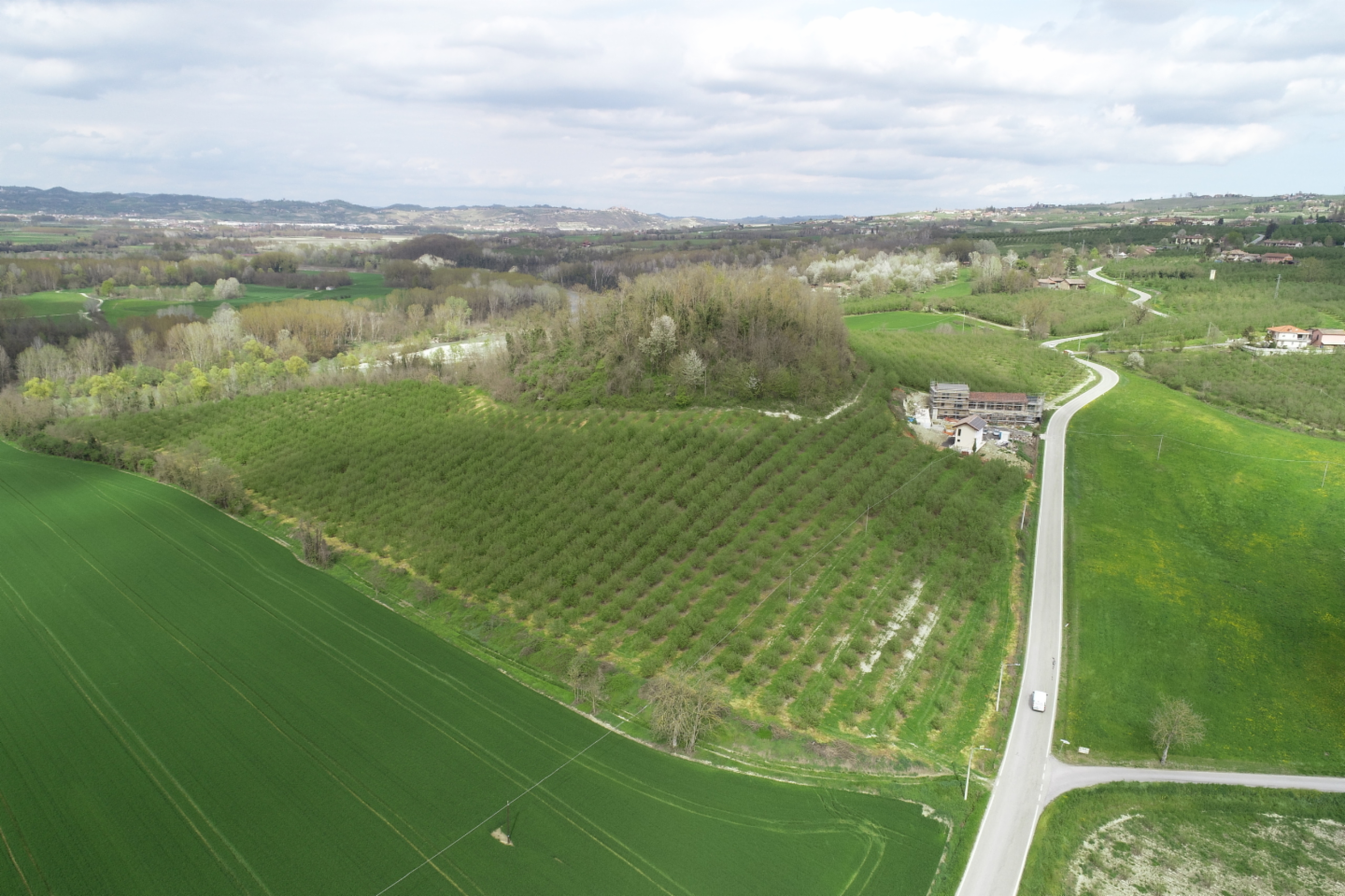 immagine annuncio 5 di 10