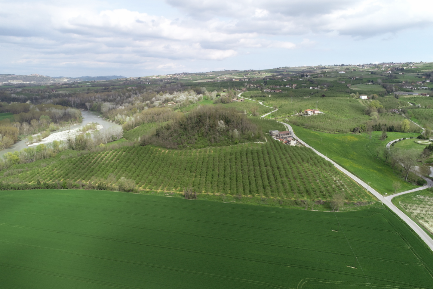 immagine annuncio 9 di 10