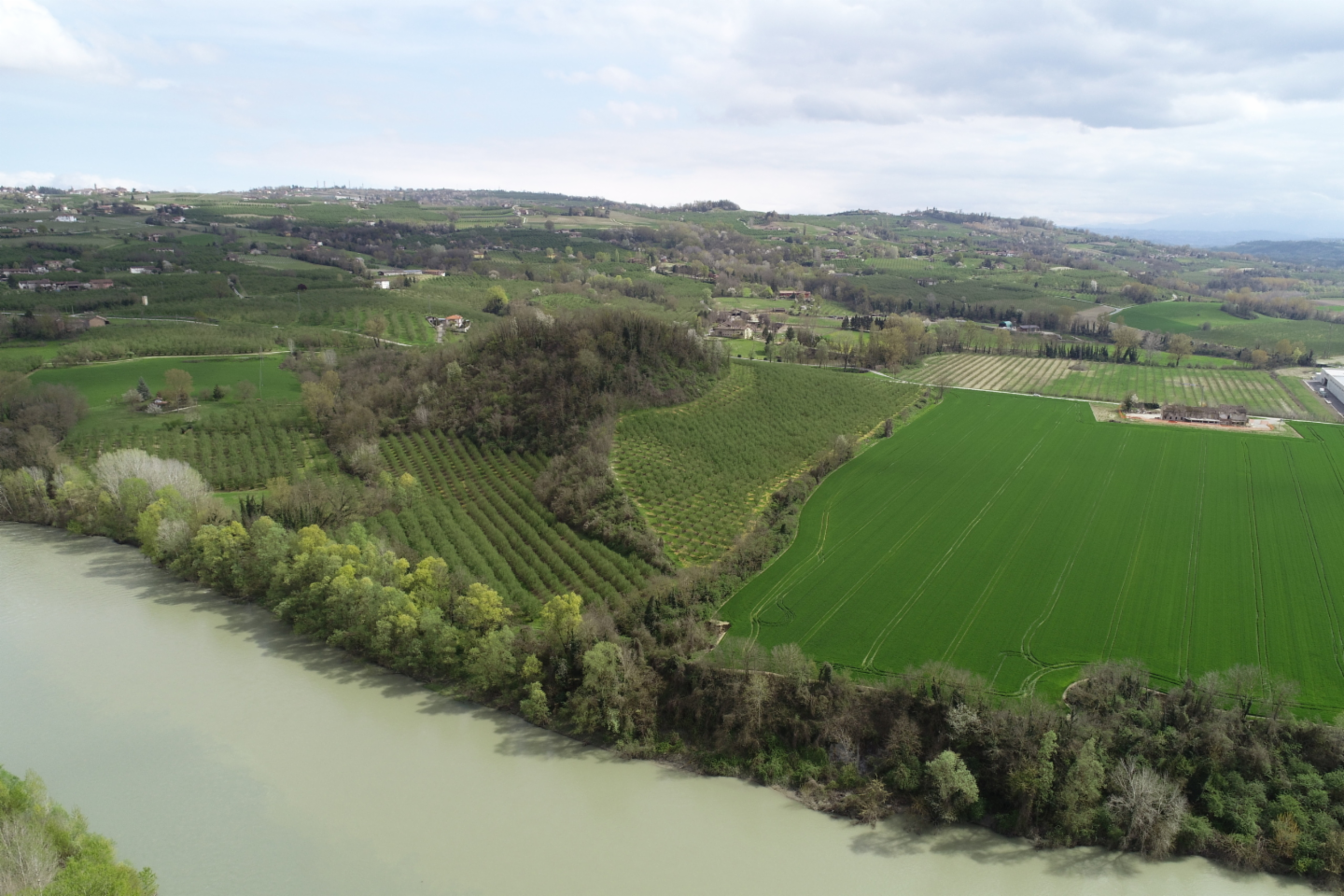 immagine annuncio 7 di 10