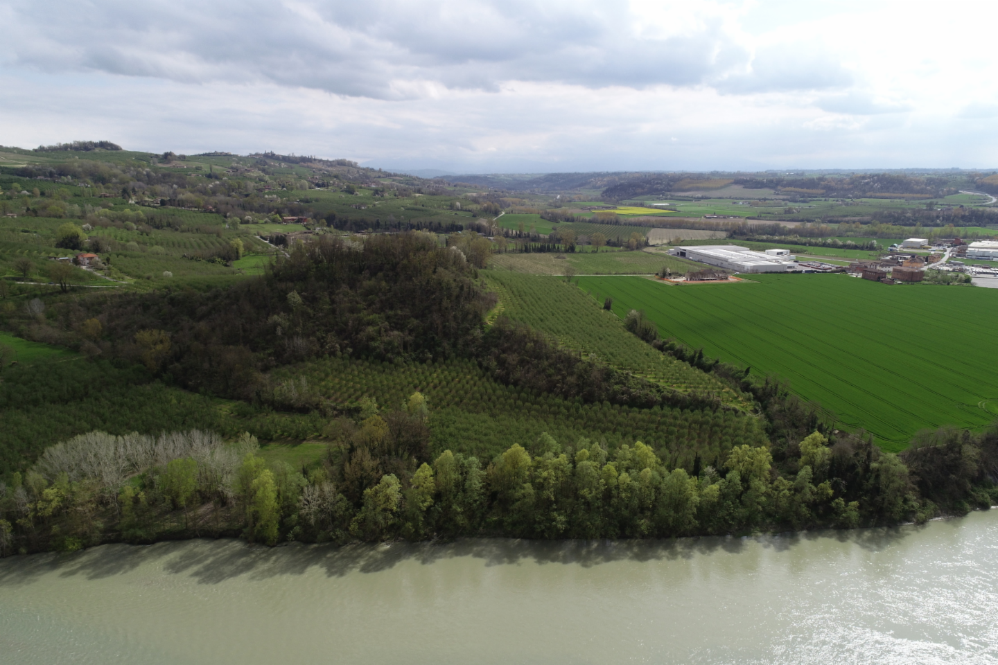 immagine annuncio 8 di 10