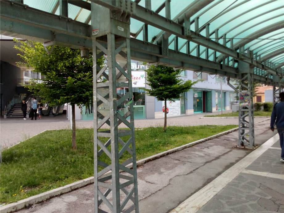 immagine annuncio 4 di 7