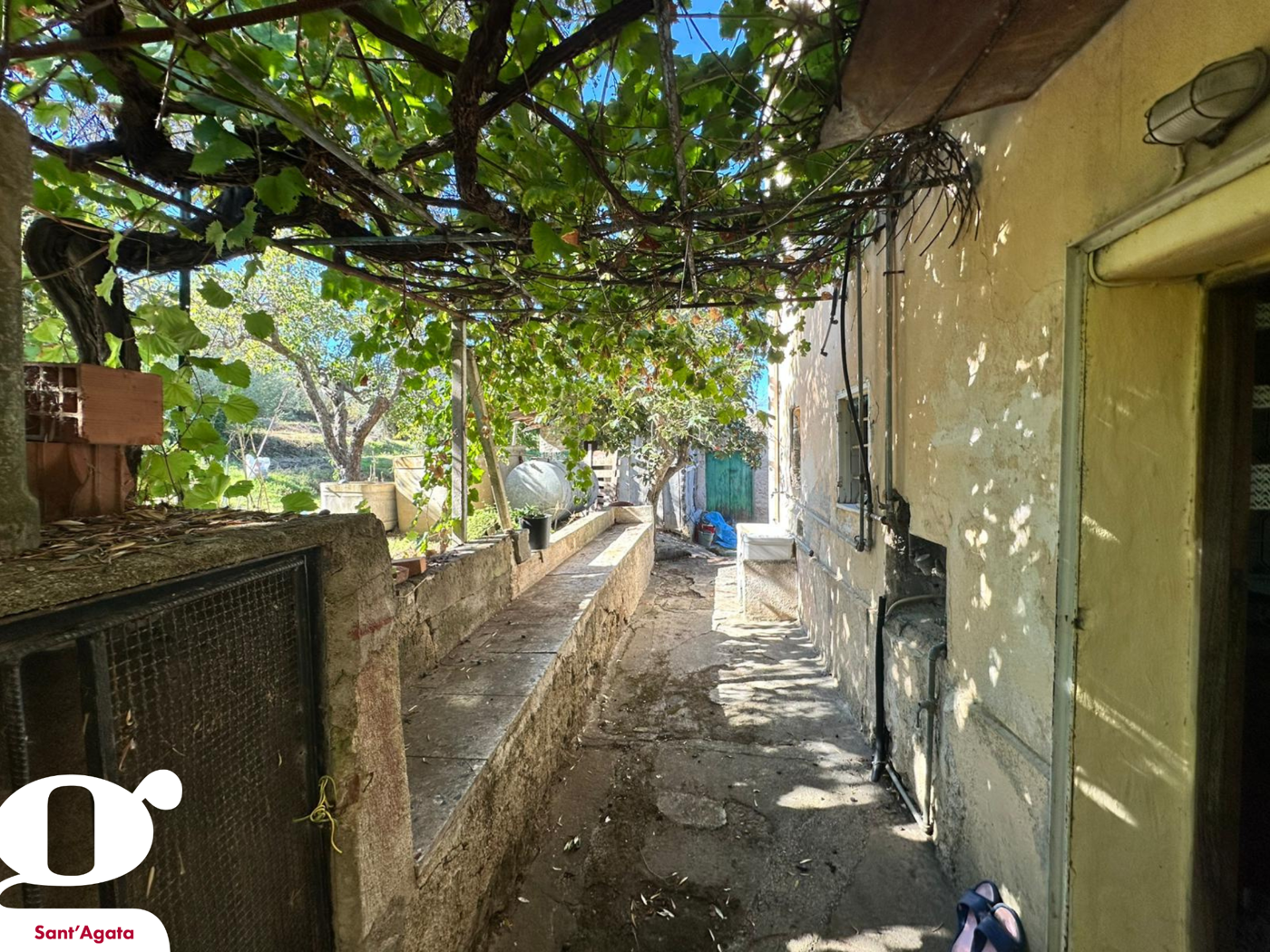 immagine annuncio 2 di 10