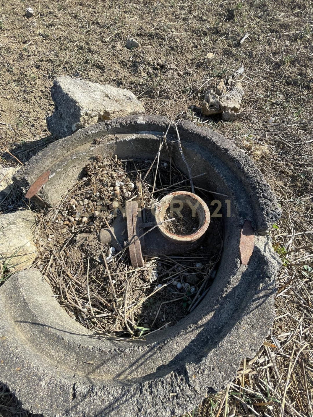 immagine annuncio 4 di 10