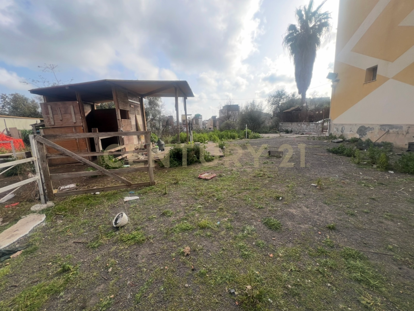 immagine annuncio 1 di 6