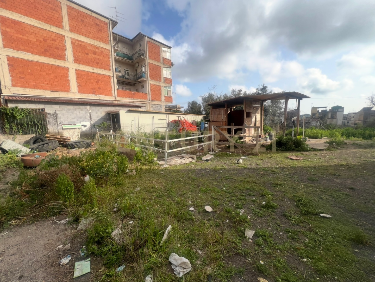 immagine annuncio 2 di 6