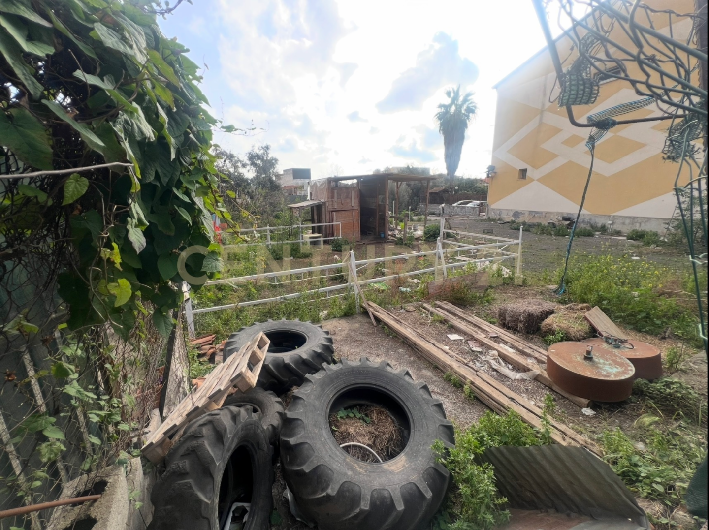 immagine annuncio 5 di 6