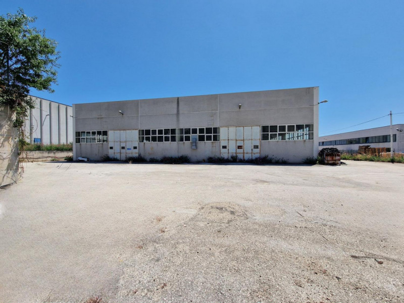 immagine annuncio 6 di 10