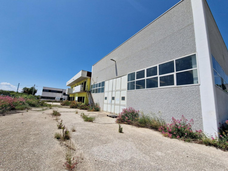 immagine annuncio 1 di 10