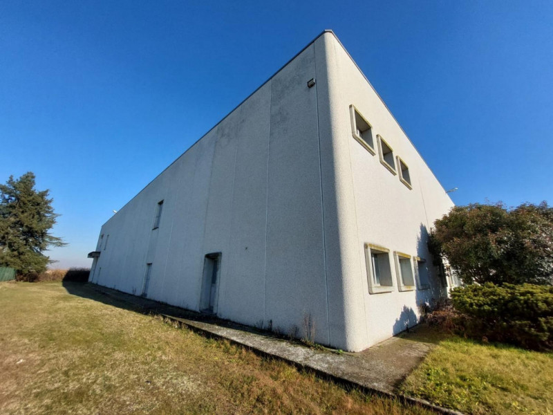 immagine annuncio 2 di 10