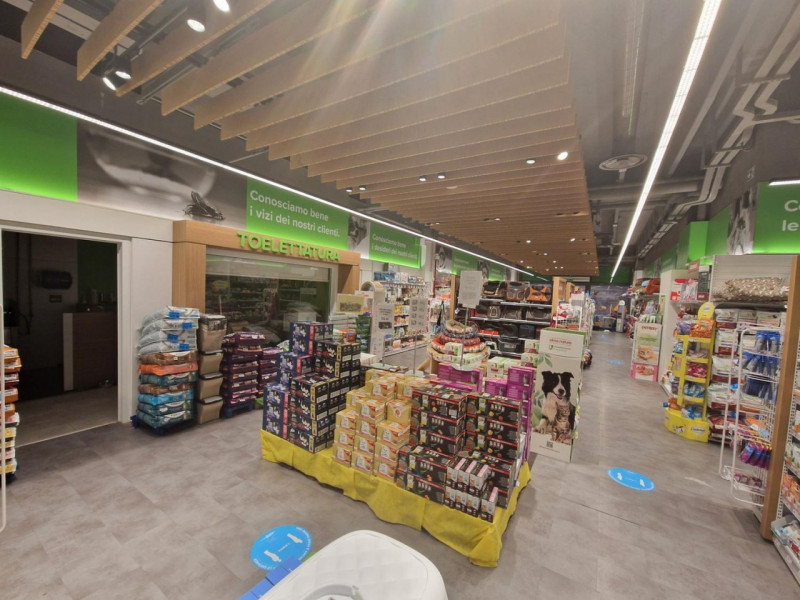 immagine annuncio 7 di 10