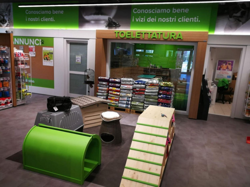 immagine annuncio 6 di 10