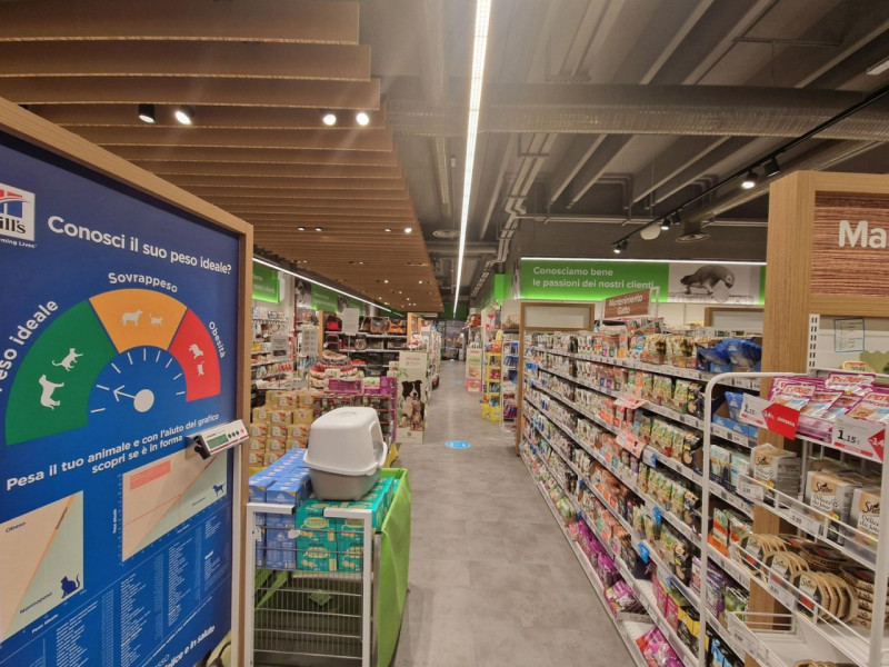 immagine annuncio 2 di 10