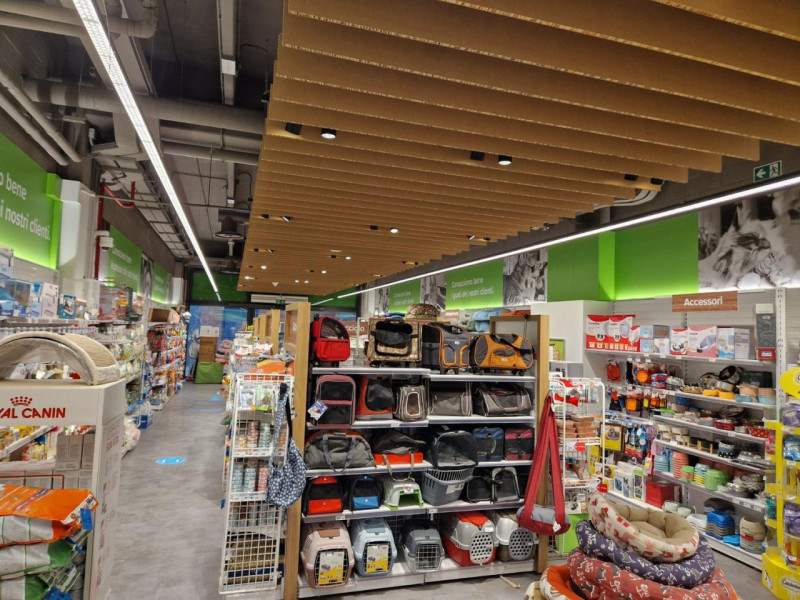 immagine annuncio 9 di 10