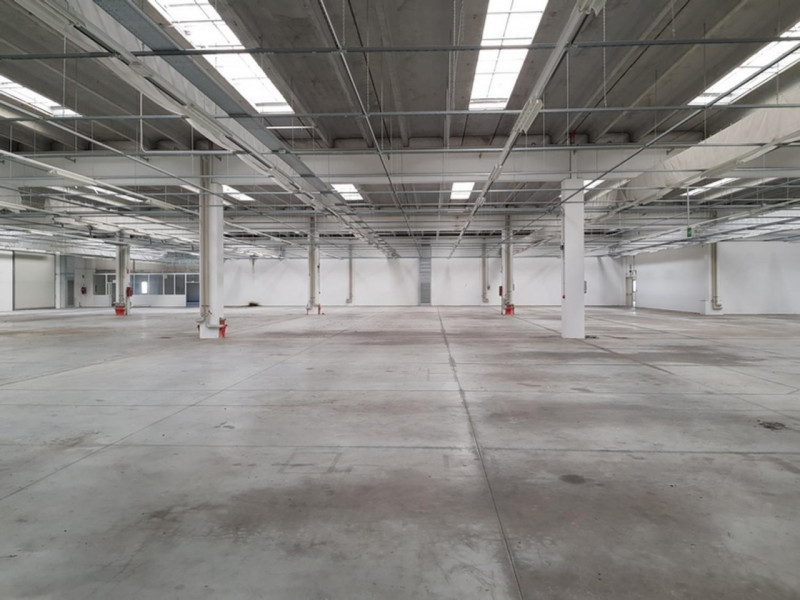 immagine annuncio 5 di 10