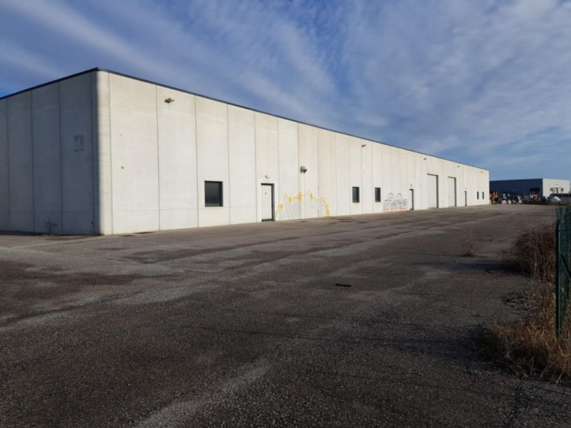 immagine annuncio 7 di 10