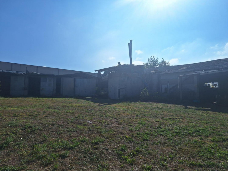 immagine annuncio 7 di 10