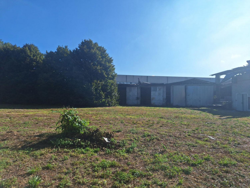 immagine annuncio 5 di 10