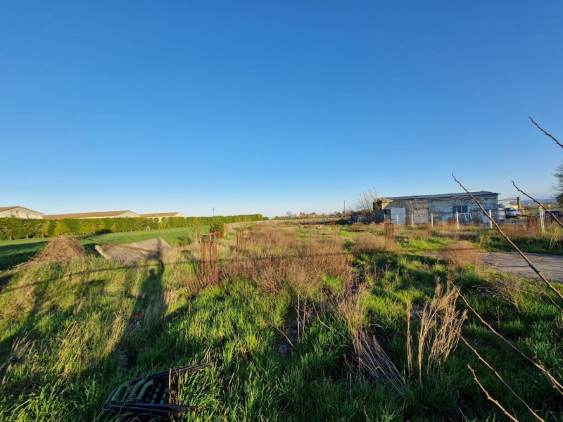 immagine annuncio 7 di 10